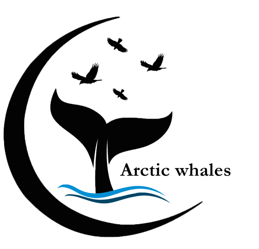 Arcticwhales